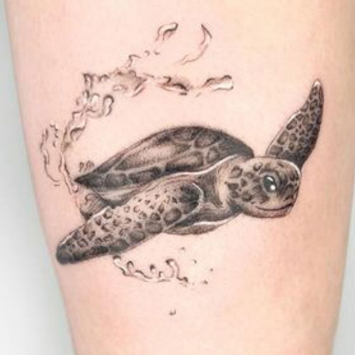 tatuaje de una tortuga en grande | tatuajes finos | tatuajes pequeños | tatuajes en el brazo | Cornelius Tattoo
